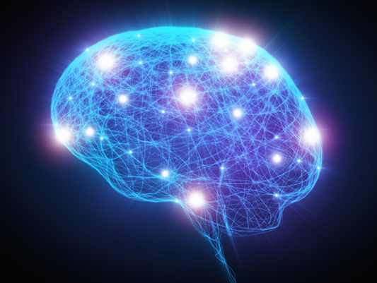 Your Guide to Nootropics